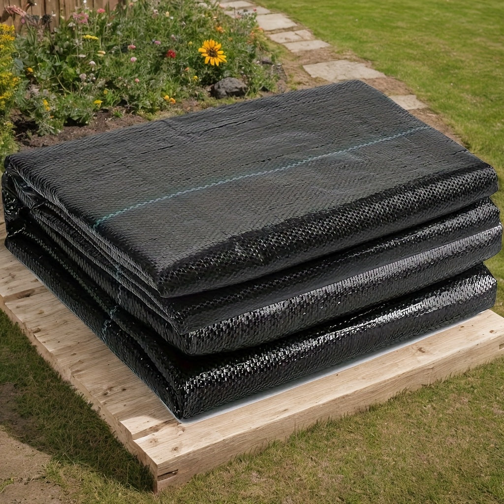 587351638-1